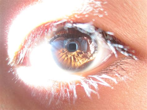 Brown Eye In Sunlight Kimberlyac Flickr