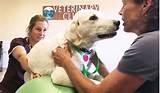 Photos of Pet Paws Veterinary Clinic