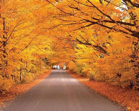 Vermont Foliage Imagine Walking Down This Road Scenic Scenic