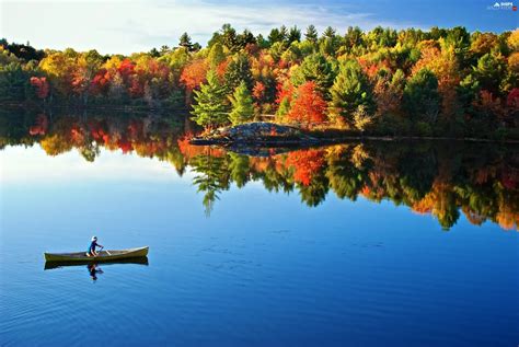 Boat Forest Autumn Lake Ships Wallpapers 2560x1713