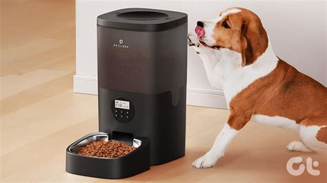 6 Best Automatic Pet Feeders For Cats And Dogs Guiding Tech