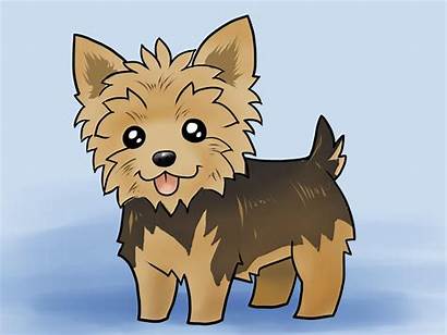 Yorkie Draw Drawings Puppy Dibujar Dog Drawing