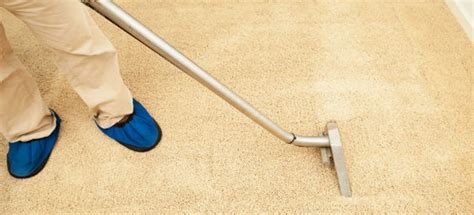 How To Get Mildew Smell Out Of Carpet How To Get Mould Mildew Smell