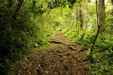 Maunalaha Trail Hike Daniel Ramirez Flickr