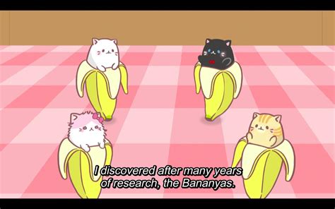 Details 75 Banana Cat Anime Super Hot Incdgdbentre