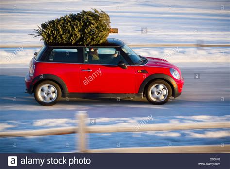 X Mass Tree High Resolution Stock Photography And Images Alamy
