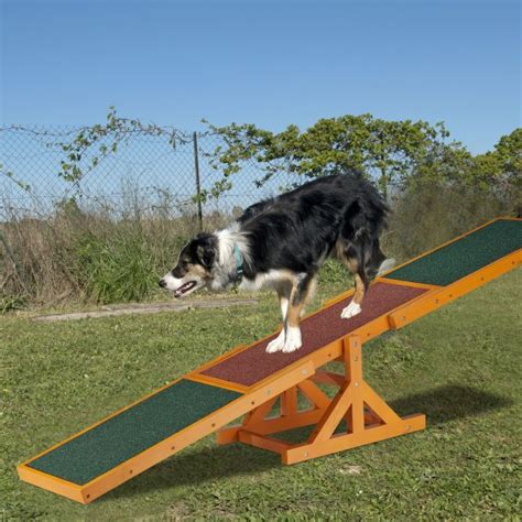 Dog Agility Seesaw Buy Here Now