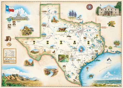 Regions Of Texas Map Puzzle Birch Plywood Etsy Texas Map Puzzle