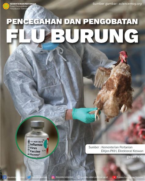 Pengobatan Flu dan Batuk