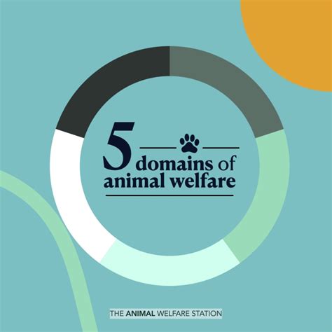 Article The 5 Domains Of Animal Welfare The Animal Welfare Station