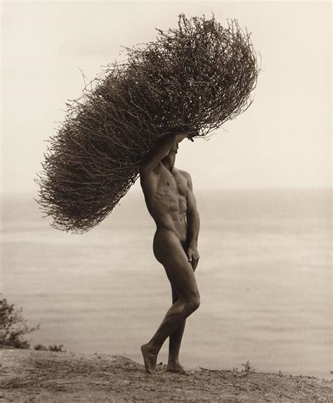 Herb Ritts Male Nude With Thorns Joshua Tree For Sale At Stdibs My XXX Hot Girl