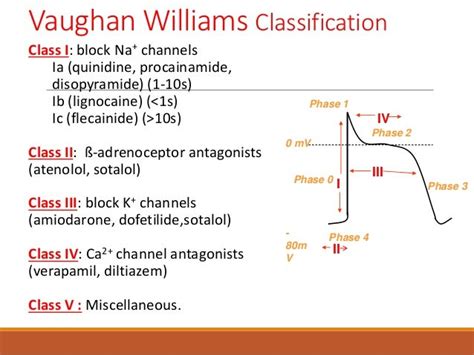 Antiarrhythmic Drugs