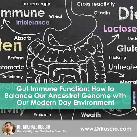 Gut Immune Function How To Balance Our Ancestral Genome
