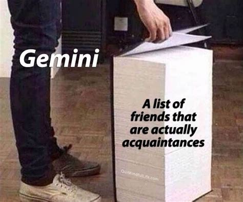 33 Funny Gemini Memes That Totally Get The Vibes Being A Gemini Gemini