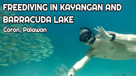 Freediving In Kayangan And Barracuda Lake Coron Palawan Richard Cua