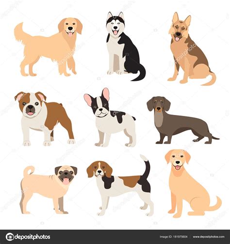 Flat Style Dogs Collection Cartoon Dogs Breeds Set Vector