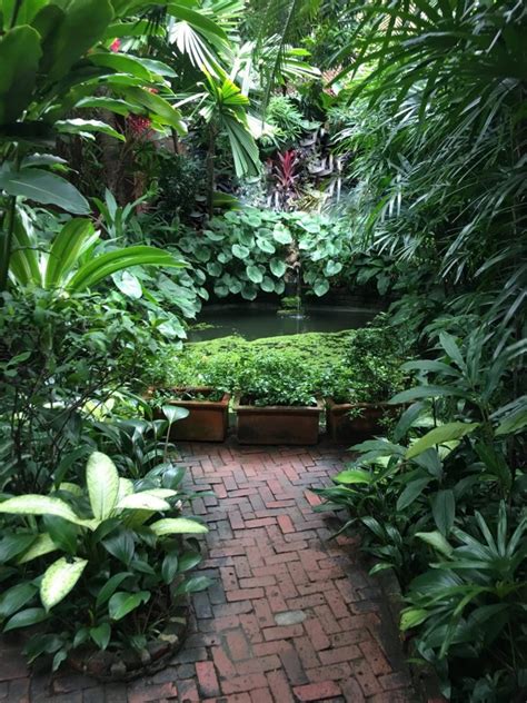 Creating A Backyard Tropical Paradise
