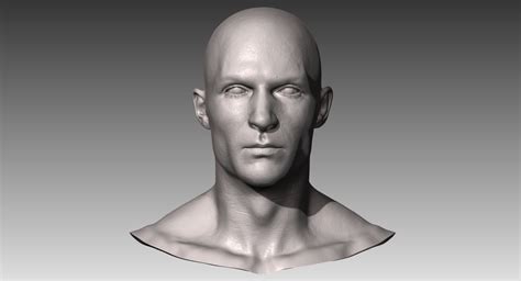Free 3d head models for download, files in 3ds, max, c4d, maya, blend, obj, fbx with low poly, animated, rigged, game, and vr options. 3d realistic white male head