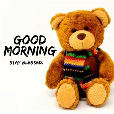 Good Morning Teddy Bear 101 Cute Good Morning Teddy Bear Images
