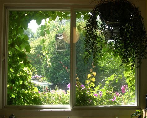 An Open Window With Plants Growing Out Of Its Sides And The View Outside