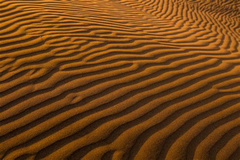 Desert Field Sand Surface Desert Hd Wallpaper Wallpaper Flare