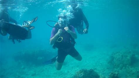 Bappa Scuba Dive Havelock Andaman Youtube