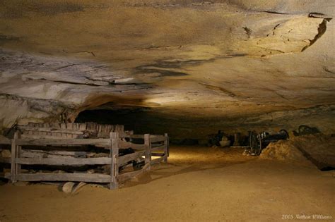 Great Saltpetre Preserve Mammoth Cave My Old Kentucky Home Appalachia