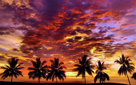 Tropical Sunset Wallpapers 37 Wallpapers Adorable