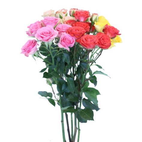 Rainbow Spray Rose Bouquet 5 Stem Marianos