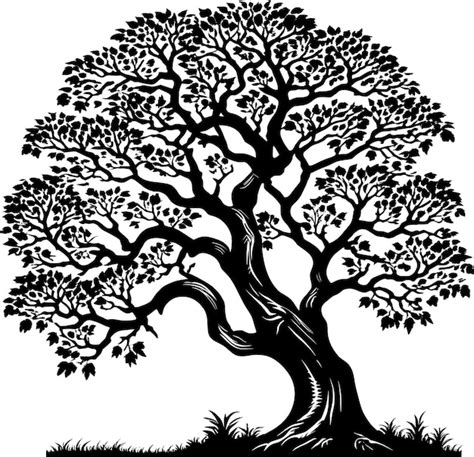 Premium Vector Silhouette Of A Majestic Tree Vector Art Style Roots