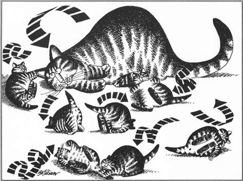 Tumbling Cat Original Vintage Art B Kliban Book Plate Print Highly