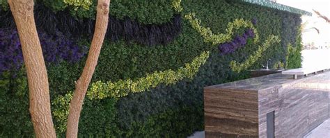 Artificial Green Wall Installation Images Dubai Treelocate Foliages