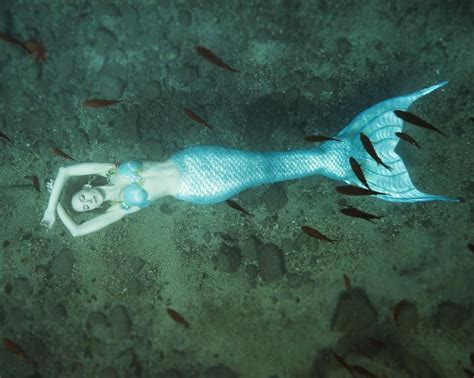 pinterest misstaylor 🥀 siren mermaid mermaid cove mermaid tails mermaid art fantasy