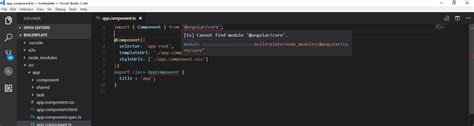 Angular VSCode Cannot Find Module Angular Core Or Any Other Modules ITecNote