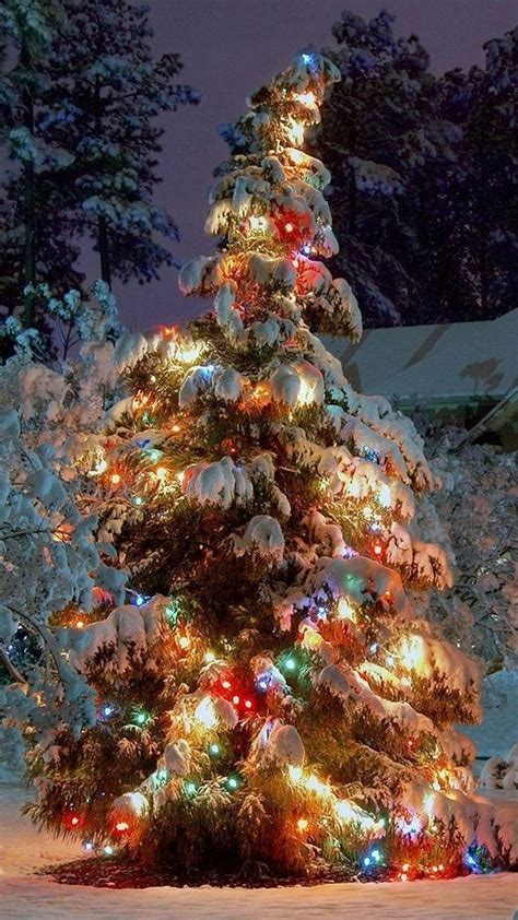 Christmas Wallpapers and Screensavers (70+ images)