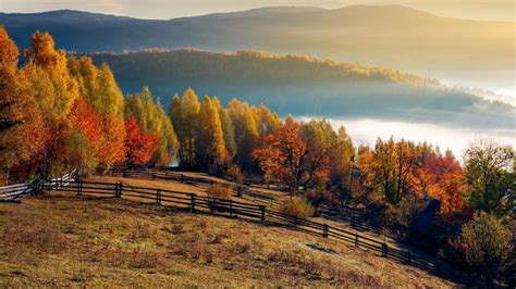 Field And Orchard In Autumn At Sunrise Mountainous Countryside With
