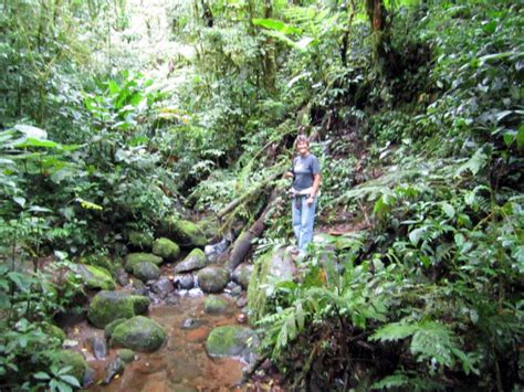 Maybe you would like to learn more about one of these? Santa Elena, Costa Rica Cloud Forest | Monteverde Tours