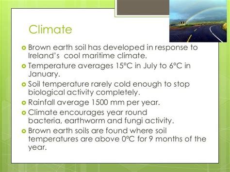 Irish Brown Earth Soils