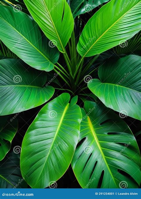 Tropical Oasis a Serene Escape into Nature S Embrace.AI Generated Stock