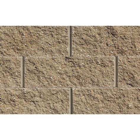 Rockwood Retaining Walls Mini 3 In H X 8 In W X 9 In D Sandstone