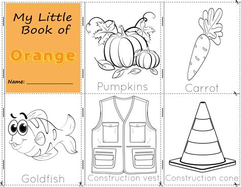 My Little Book Of Orange Color Objects Orange To Paint Them As They Are