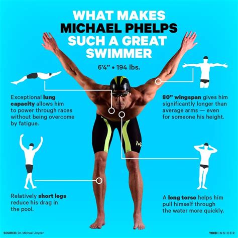 Michael Phelps Body Is Perfect For Swimming Swimming Tips Michael
