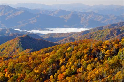 The Beauty Of Autumn Colors In The Great Smoky Mountains
