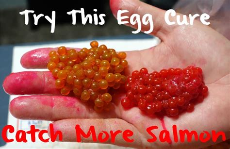 Try This New Egg Cure Catch More Salmon Pautzke Bait Co