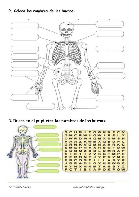 Practica De Los Huesos