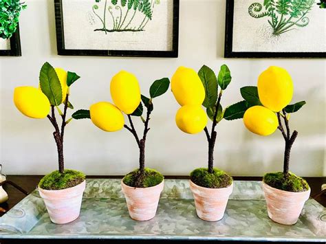 Three Lemon Trees In Pots With Moss Growing On Them And Framed Pictures