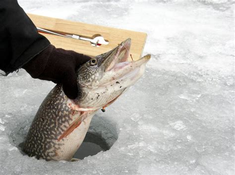 How To Go Ice Fishing In Wisconsin The Complete Guide Updated 2023