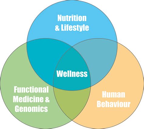 Human Behaviour Diagram Dave Hompes