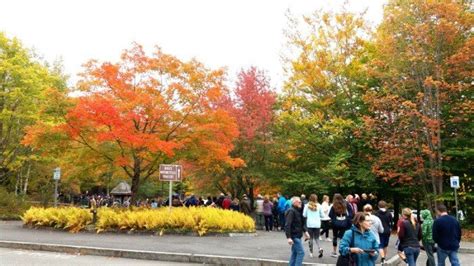 Classic Fall Foliage Globus 9 Days From Boston To Boston