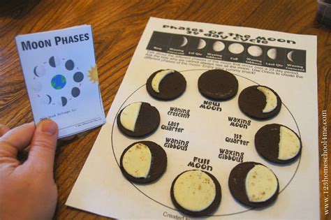 Printable Moon Phases Worksheet